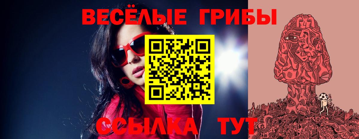 Псилоцибиновые грибы Magic Shrooms  Вход с VPN  Волжск  Галлюциногенные грибы Magic Shrooms 